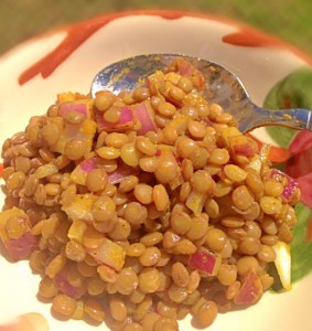 Yummy Chilled Curried Lentil Salad. So easy.
