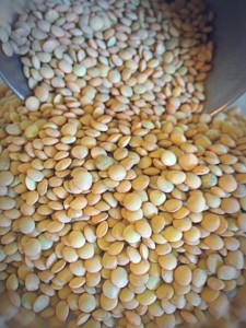 Lentils have no fat and are high in nutrients.